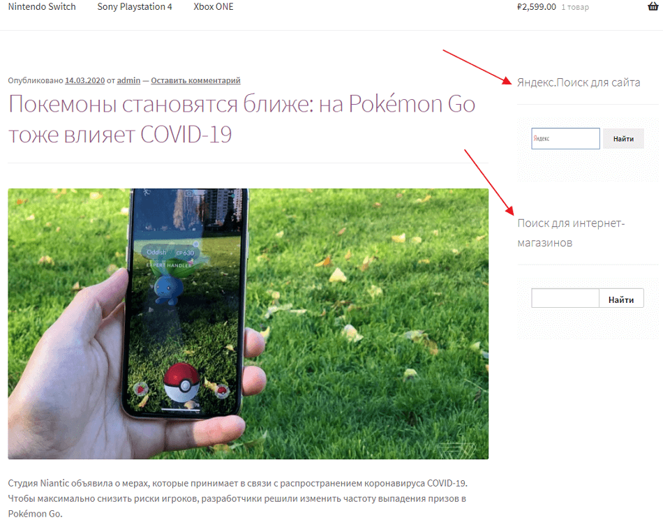 Яндекс.Поиск: особенности и плюсы такого инструмента на сайте