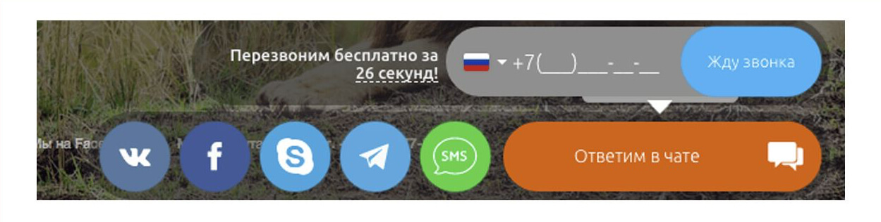 Кнопки обратного звонка на сайте Кнопки обратного звонка на сайте