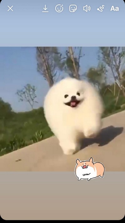 Выбираем гифку