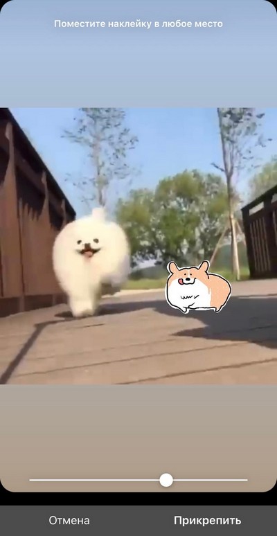 Регулируем, в какой момент она появится