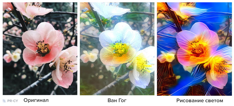 Оригинал фотографии и стилизованные варианты