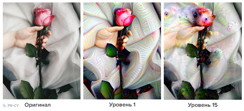 Фотография и обработанные варианты