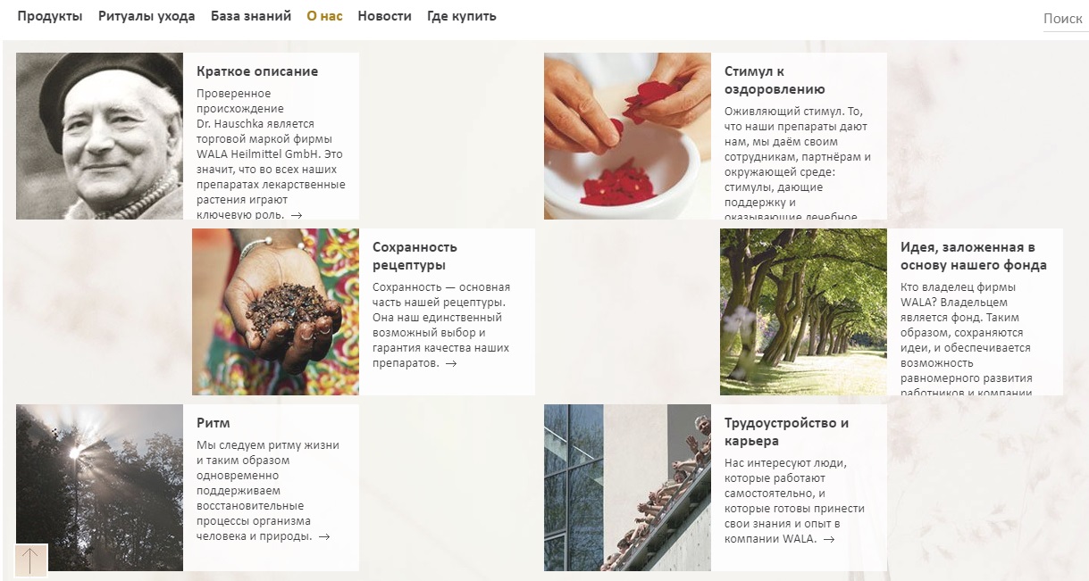 Пример текста о компании