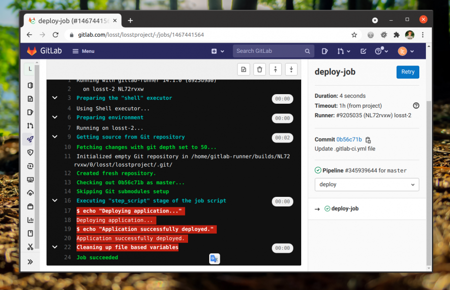 Лог выполнения раннера