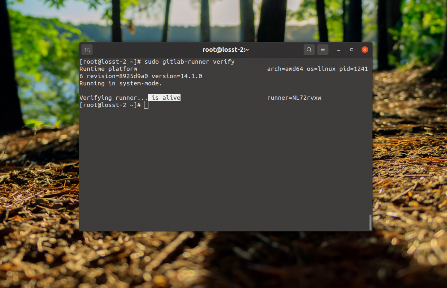 sudo gitlab-runner verify