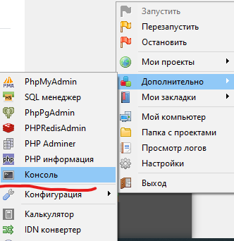 В контекстном меню программы выбираем 'Консоль' В контекстном меню программы выбираем 'Консоль'