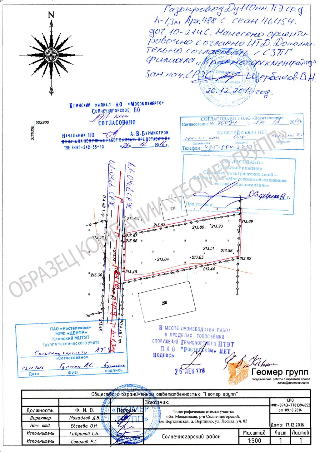 Образец согласованной топографической съемки для физ лица