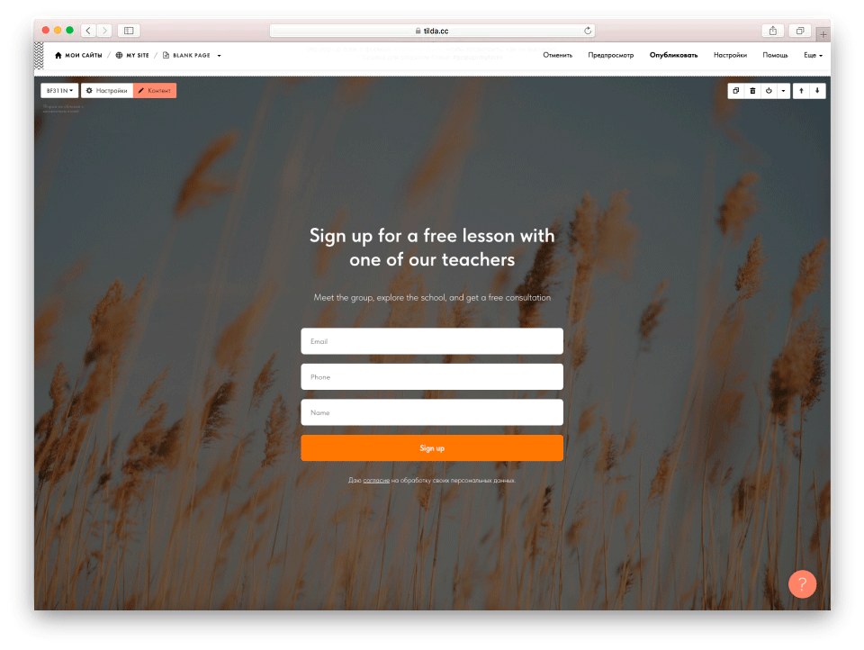 В Тильде в каждом блоке с формой сбора данных есть поле