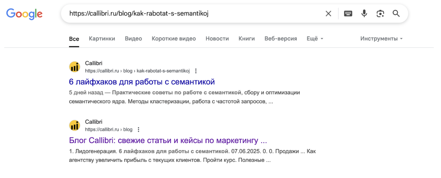 Как выглядит ручная проверка отдельной страницы и целого раздела сайта