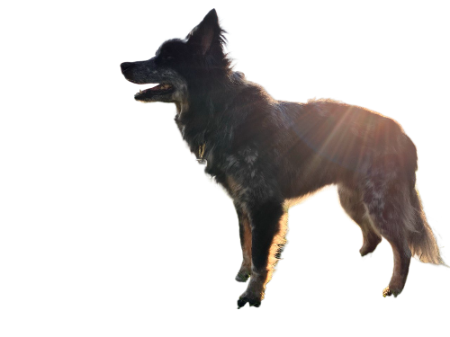 функция удаления фона