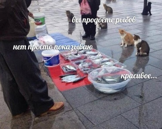 Разработка сайта: вредные советы для желающих платить больше и постоянно переделывать