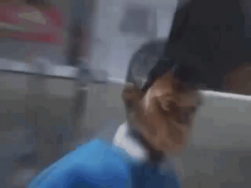 Yappy, TenChat и другие. Обзор новых русских соцсетей и их возможностей