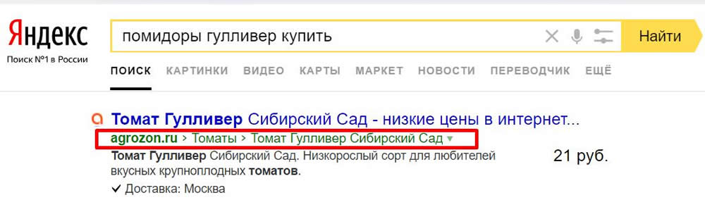 Полезные витамины для SEO: неочевидные пути роста трафика