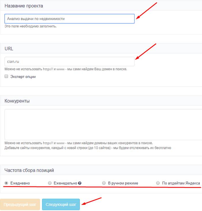 Ввод анных нового проекта на Rush-Analytics