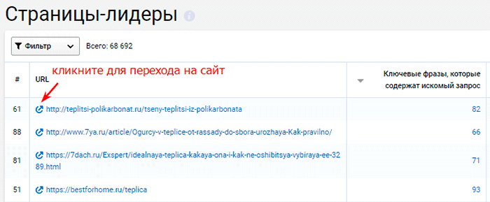 Страницы лидеры: переход на другие сайты