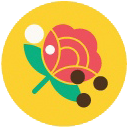 создание свадебного сайта