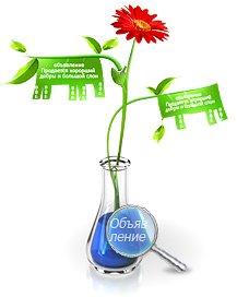 Контекстная реклама в Яндекс и Google